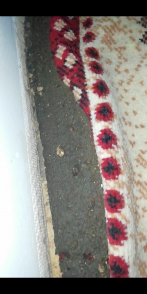 Özel Çağıner Hastanesi 5 Ay Önce Çalıştığım Hakkımı Alamadığım Beni Yataklara Düşüren Bir Hastane