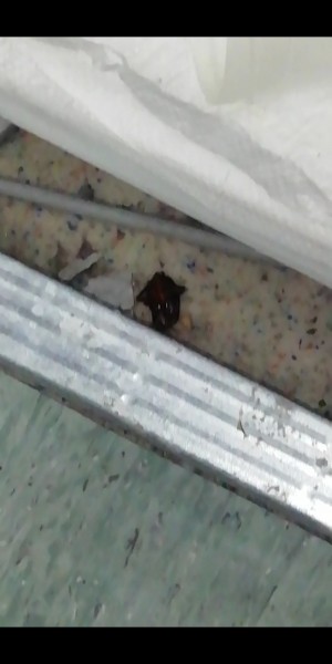 Özel Çağıner Hastanesi 5 Ay Önce Çalıştığım Hakkımı Alamadığım Beni Yataklara Düşüren Bir Hastane