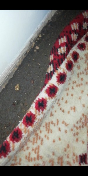 Özel Çağıner Hastanesi 5 Ay Önce Çalıştığım Hakkımı Alamadığım Beni Yataklara Düşüren Bir Hastane