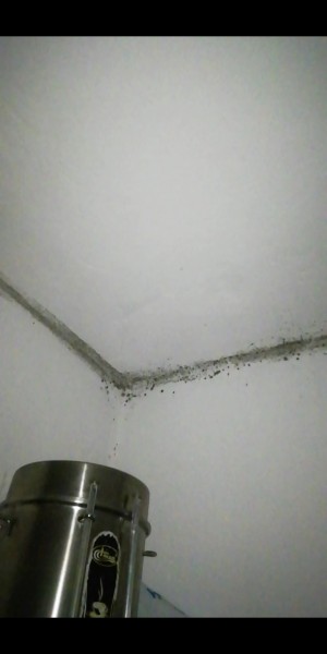 Özel Çağıner Hastanesi 5 Ay Önce Çalıştığım Hakkımı Alamadığım Beni Yataklara Düşüren Bir Hastane