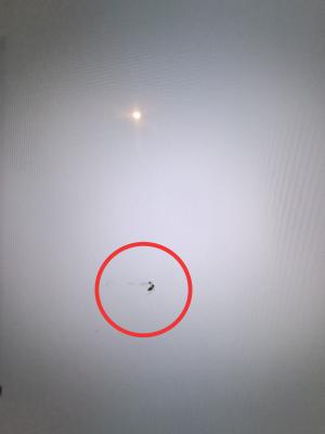 Sony Panel İle Ekran Arasına Sinek Girmesi Ve Bunu Kullanıcı Hatası Olarak Değerlendirdiler