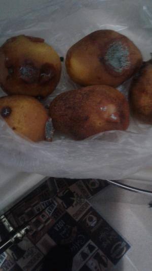 Vestel Buzdolabımda Sorun Var