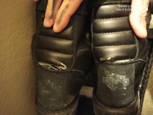 Trendyol Harley Davidson Bot