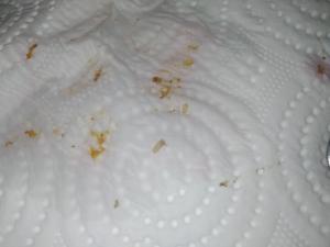 Superfresh Kurtlu Donuk Vişne