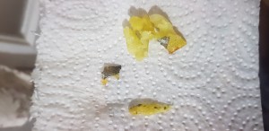 Karaca Air Pro Cool Xl 2in 1 Konuşan Airfryer Space