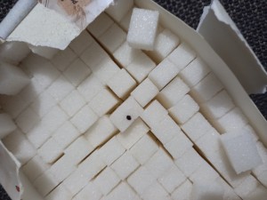 Migros Aldığım Küp Şekerde Böcek Çıktı