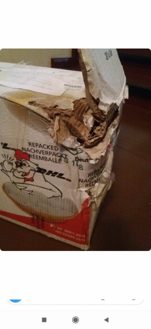 Ptt Almanya'ya Gönderdiğim Paketimin Hali İçler Acısı Paketin İçinde Fare Çıktı Tüm Eşyaları Tırtıklamış