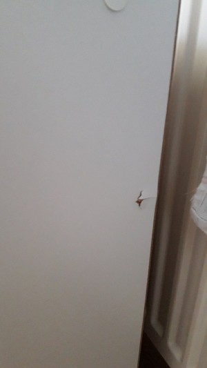 Trendyol Almış Olduğumuz Çok Amaçlı Mutfak Dolabımız Çok Fazla Defolu Geldi