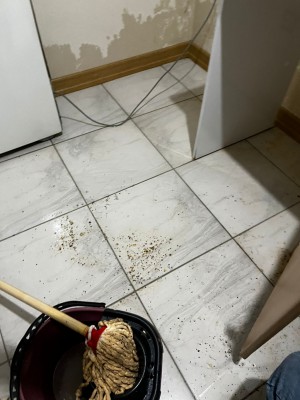 Amasya Taşova Toki Site Yönetimi Görev İhmali