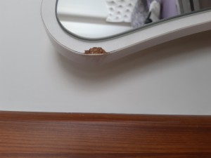 Ankara Kurum Nakliyat Beni Mağdur Etti