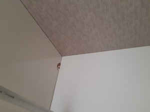 Ankara Kurum Nakliyat Beni Mağdur Etti