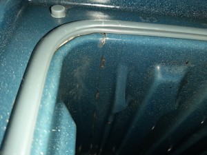 Samsung Ankastre Fırın Küflenmesi