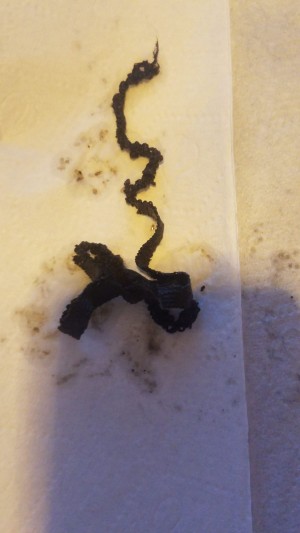 Antalya Platin Gıda İnsan Sağlığıyla Oynuyorlar