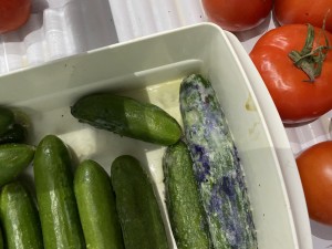 Bosch Arızalı Buzdolabı Ve Yetersiz Servis