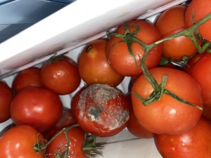 Bosch Arızalı Buzdolabı Ve Yetersiz Servis