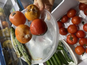 Bosch Arızalı Buzdolabı Ve Yetersiz Servis