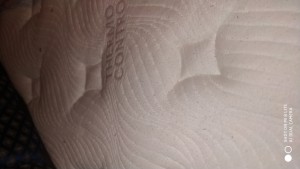 Bambi Yatak Aşırı Tüylenme