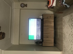 Sunny Axen Tv Ayıplı Ürün