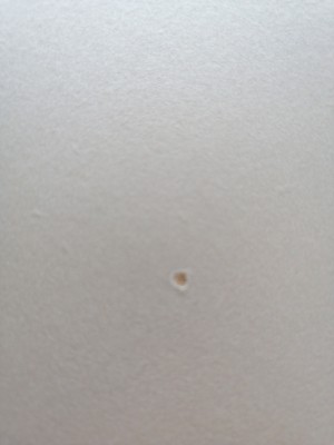 Bellona 8 Kişilik Yemek Masası