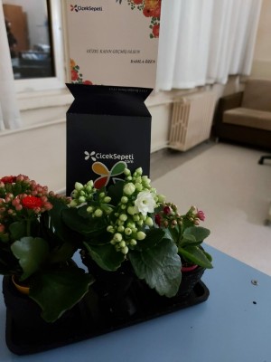 Çiçek Sepeti Ben Böyle Bir Şey Görmedim