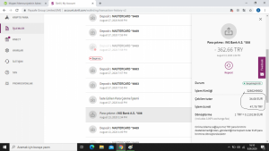 İng Bank Bilgisizlik Ve Çözümsüzlük Nedeniyle Çöpe Giden 12 Euro