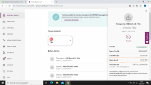 İng Bank Bilgisizlik Ve Çözümsüzlük Nedeniyle Çöpe Giden 12 Euro