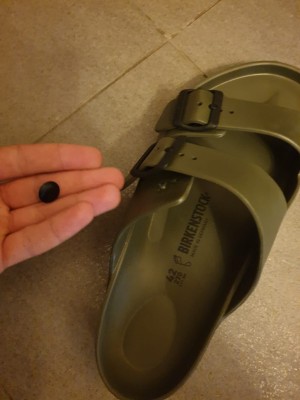 Çiçek Sepeti Birkenstock Terliğim 2 Günde Koptu