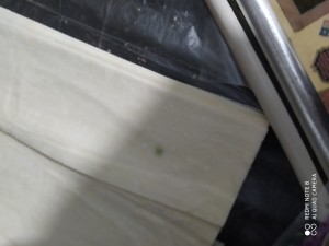 Bim Yufka Küflü Çıktı