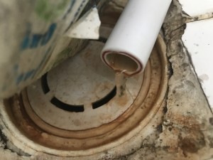 Bosch Beni Bu Zor Günlerde Çok Mağdur Etti