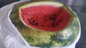 A101 Market Bozuk Bayat Ürün, Müşteri Hizmetleri İletişim Sıkıntı