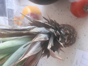 A101 Market Bozuk Ürünler Ve Fazla Ücret