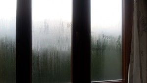 Fıratpen Buhar Yapan Camlar