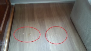 Fıratpen Buhar Yapan Camlar