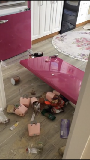 Vestel Buzdolabı Kapağı Düştü