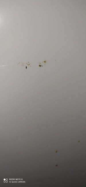 Vestel Buzdolabımın 1,5 Yıl İçinde Çürümesi Akıl Almaz Olay Ve Kullanıcı Hatası Diyorlar