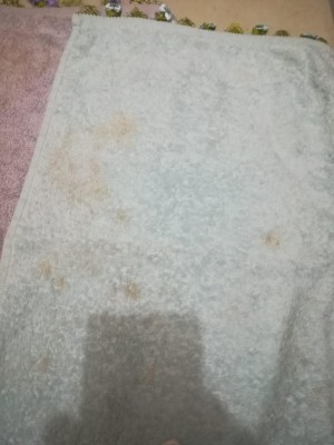 Profilo Çamaşır Makinam Yıkamıyor