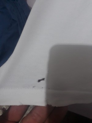 Bosch Çamaşırları Yırtıyor