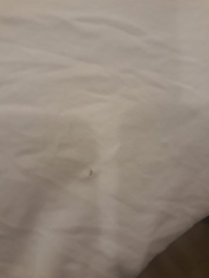 Bosch Çamaşırları Yırtıyor