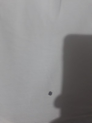 Bosch Çamaşırları Yırtıyor