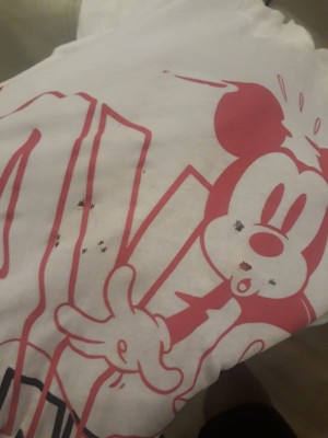 Bosch Çamaşırları Yırtıyor