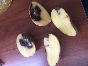 Şok Market Cepte Şok'tan Alışveriş