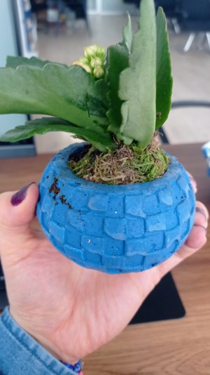 Çiçek Sepeti Rezalet Bir Yeşil Yaprak Gönderdi