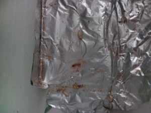 Ülker Çikolatadan Kurt Çıktı