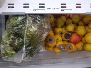 Vestel Çürüyen Meyve Sebzeler Ekşiyip Patlama Noktasına Gelen Süt Yoğurt