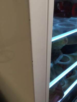 Vestel Dayanıksız Tüketim Malları