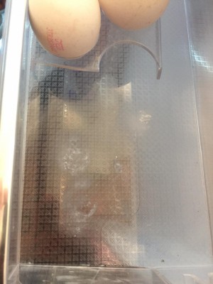 Vestel Dayanıksız Tüketim Malları