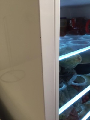 Vestel Dayanıksız Tüketim Malları