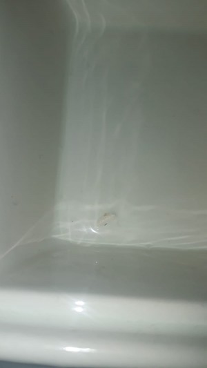 Renklievimonline Defolu Ürün