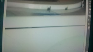 Bosch Defolu Ve Sıkma Yapmayan Seri 4 7 Kg Çamaşır Makinesi