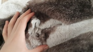 Alpbebe Değişim Ve İade